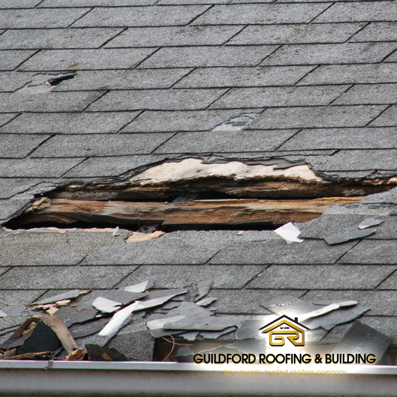 Storm Damage repairs Guildford