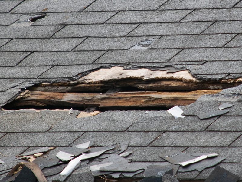 Roof storm damage services Guildford